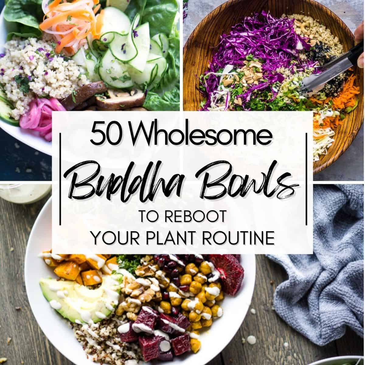 image collage of buddha bowls with center text "50 Wholesome Buddha Bowls to Reboot Your Plant Routine"