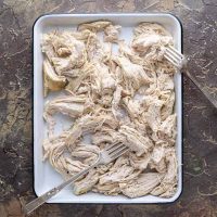 Shredded chicken breast with two forks on white tray