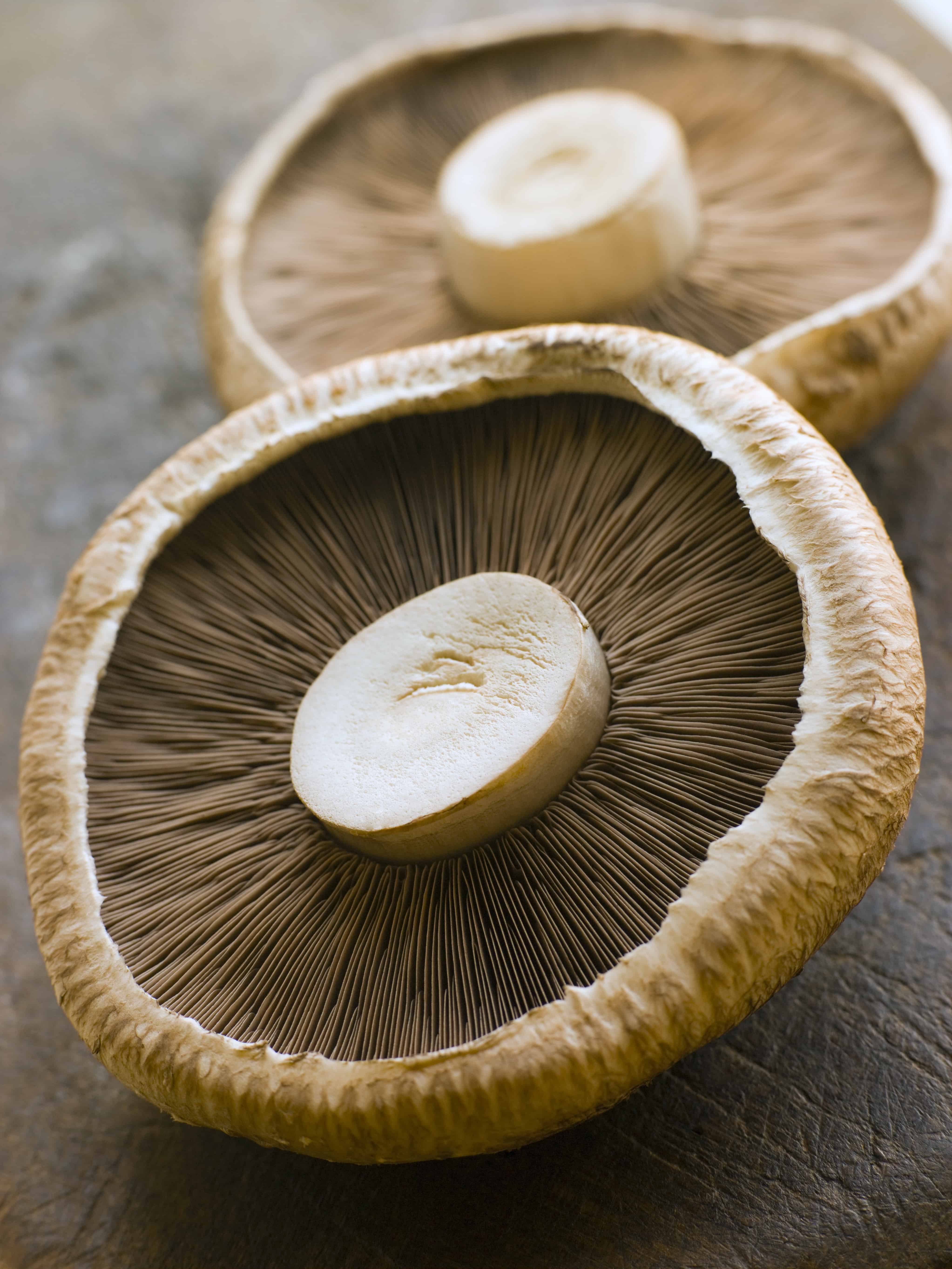 Hydrazines In Portobello Mushrooms At Shawana Salvatore Blog