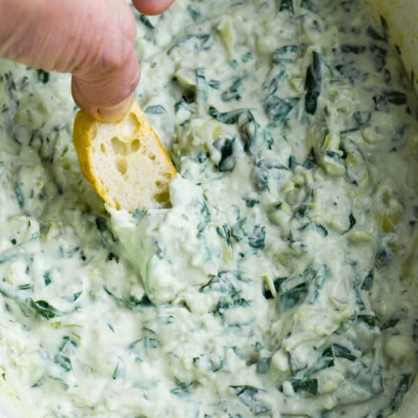 crostini is dipped into spinach artichoke dip