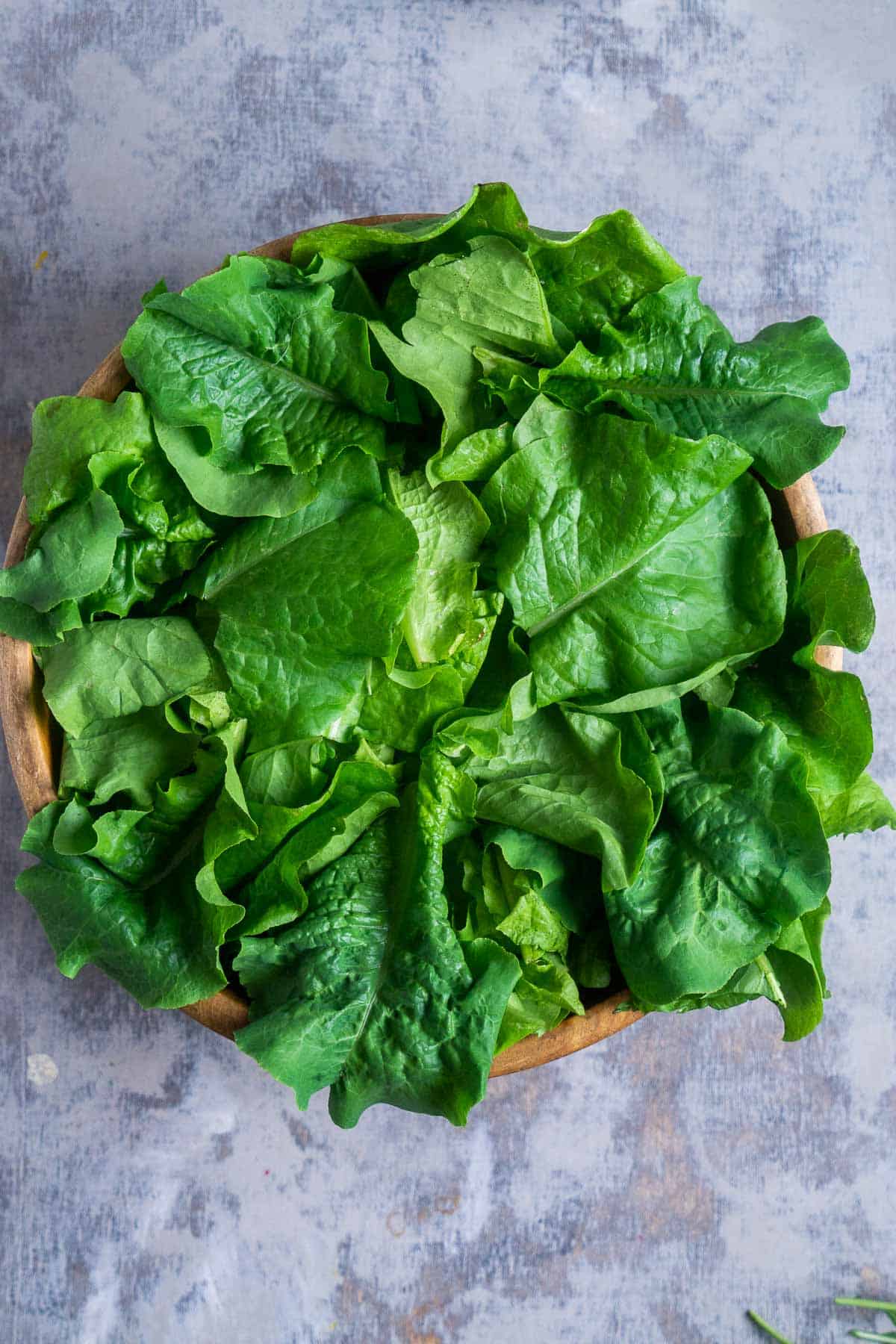 leaf lettuce in wood bowl