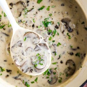 cream of mushroom soup is ladled from white soup pot