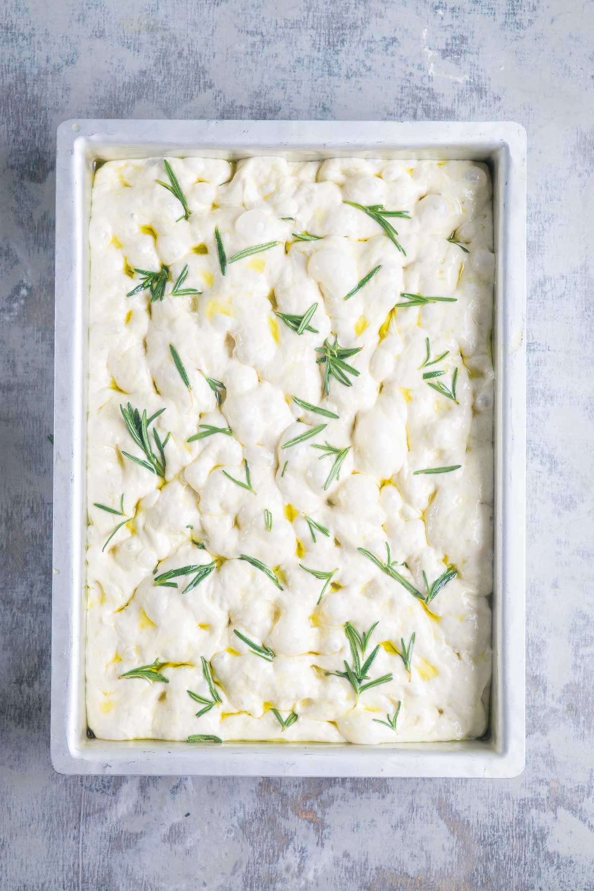 A rectangle pan filled with raw focaccia bread dough topped with rosemary sprigs and drizzled with olive oil, ready to be baked.