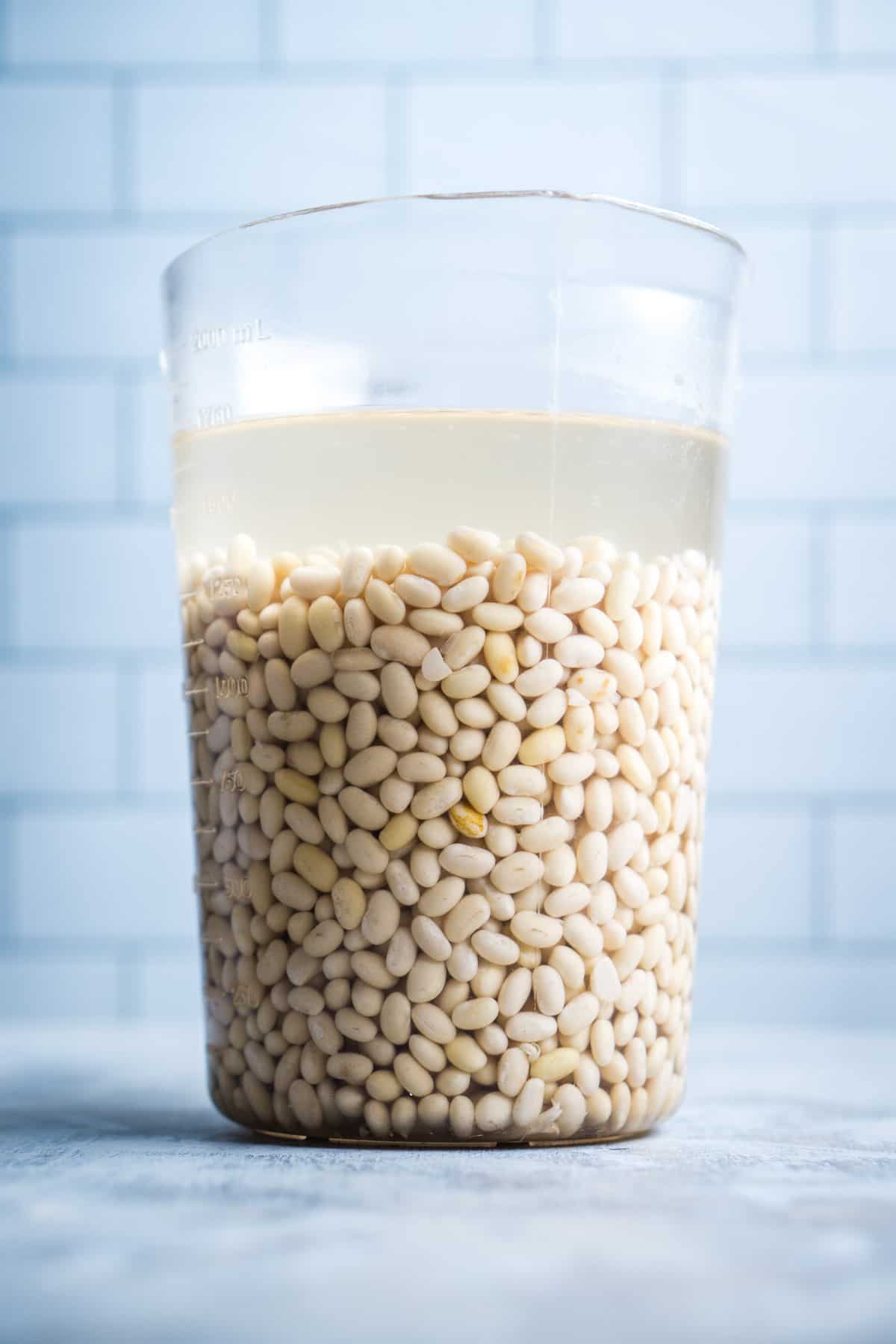 White beans soaking in large pitcher