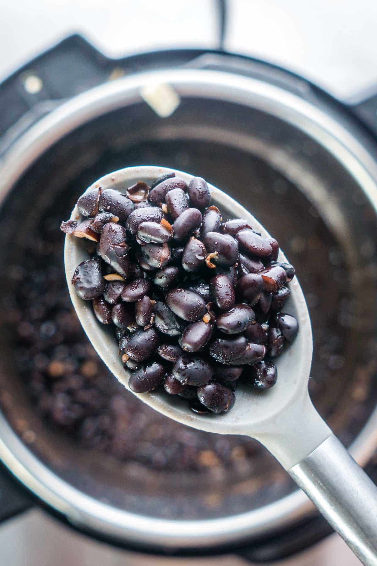 spoonful of cooked black beans has been lifted from the Instant Pot