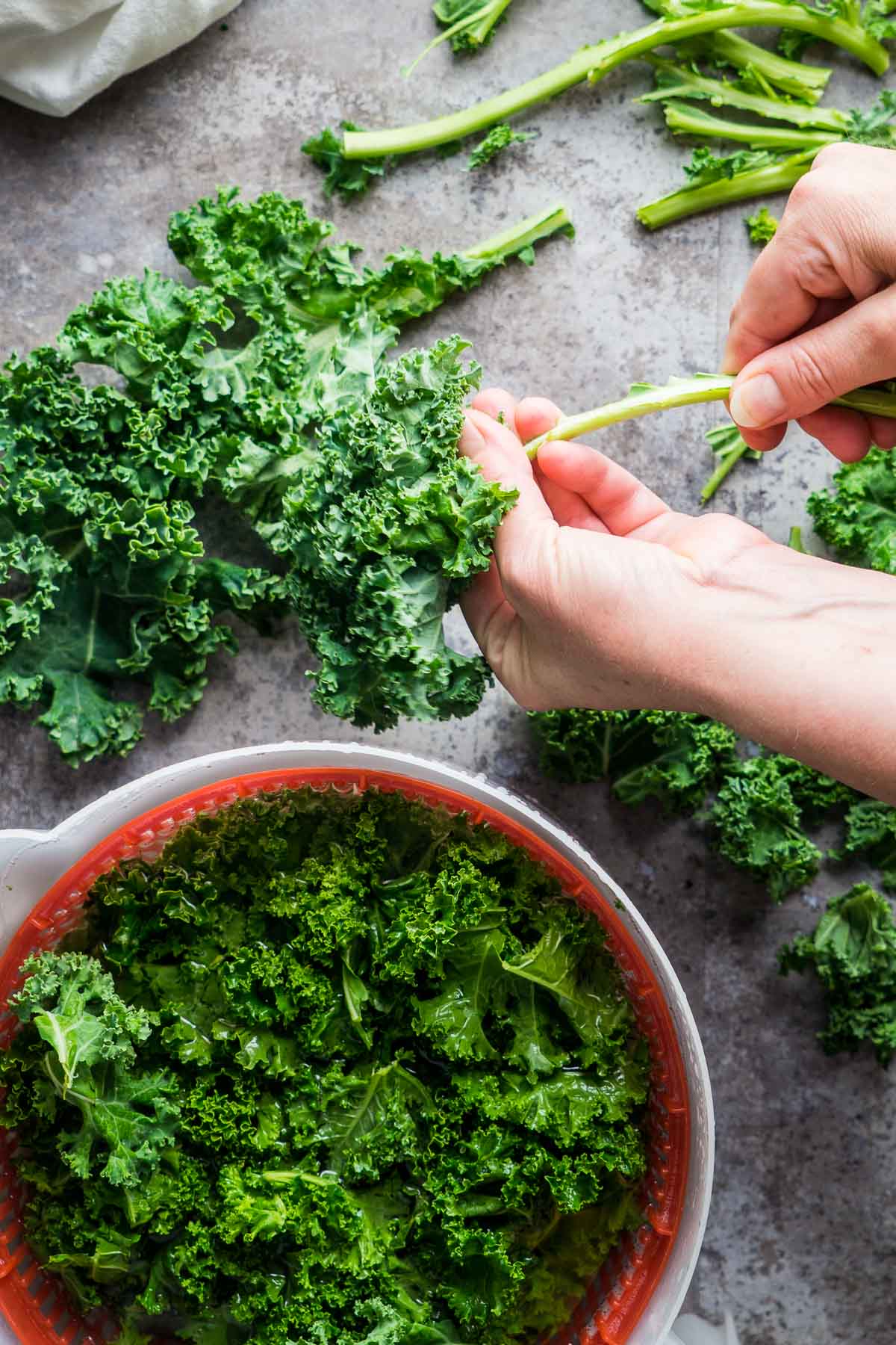 hands removing kale from stems