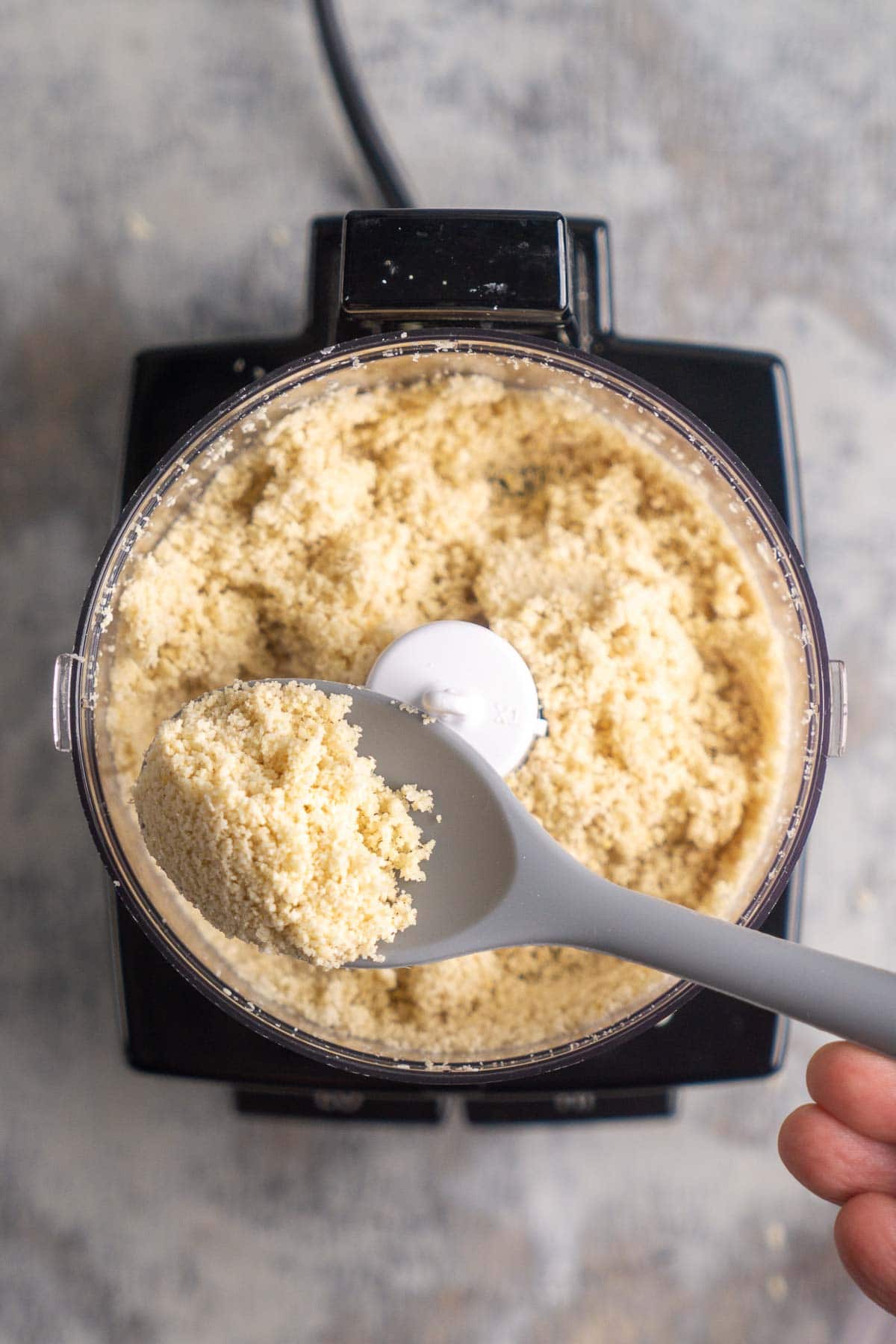 A food processor filled with partially ground sesame seeds, with a gray spoon holding some of the mixture above it.